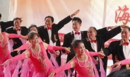 老年人舞蹈视频,老年人舞蹈视频的魅力与启示